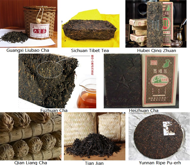 Different kinds of Chinese Dark Tea