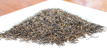 The maocha of keemun black tea