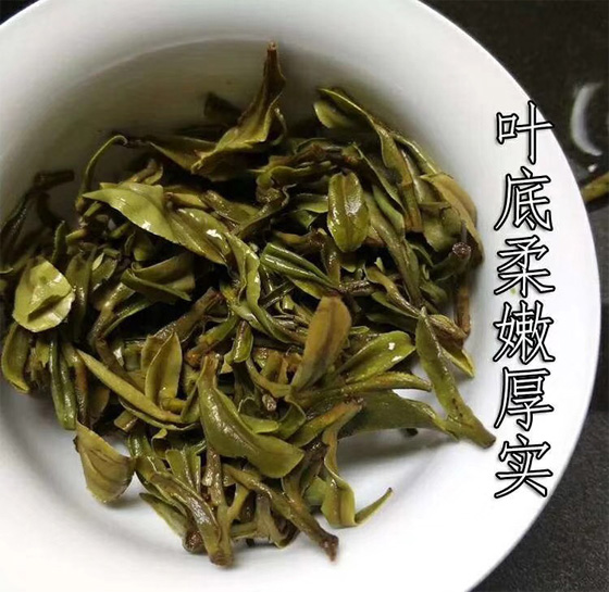 Shou Mei white tea
