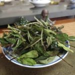 2018 crop of Gong Mei White Tea