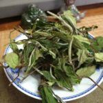 2018 crop of Gong Mei White Tea