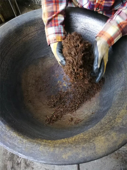 Traditional Processing of Keemum Haoya Black Tea 