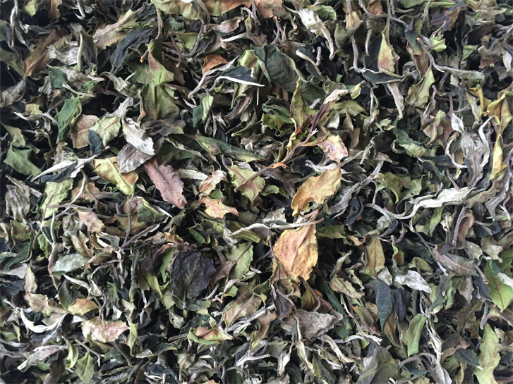 Danzhu White Tea