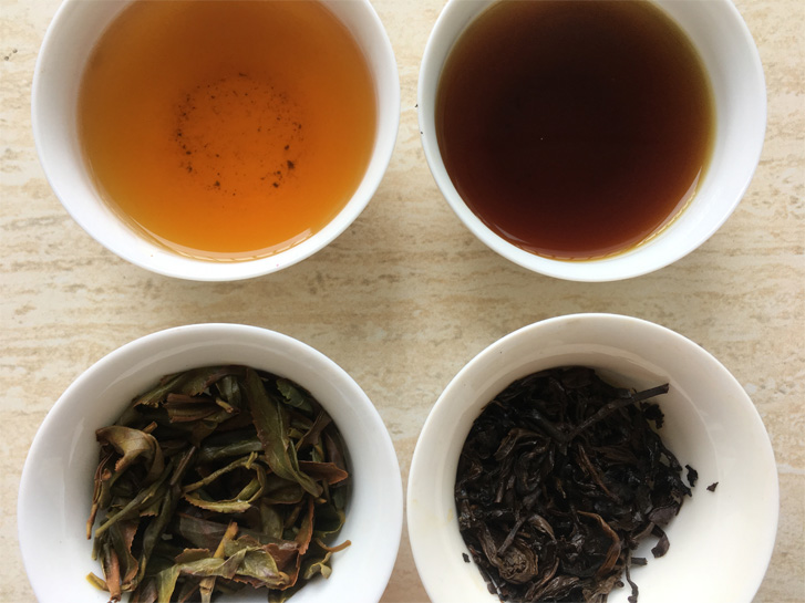 Vintage Pu-erh Tea and Black Tea 1