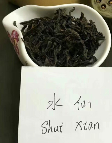 Charcoal Roasted Shui Xian