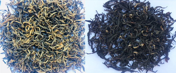 Taste Two Gong Fu Black Tea from the same tea garden 