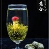 Blooming Tea Qing Tou Yi He