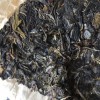Bing Dao 冰岛