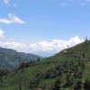 Bing Dao 冰岛