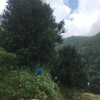 Bai Ying Shan 白莺山