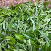 Huang Cao Ba Mao Er Duo Gong Cha 黄草坝猫耳朵贡茶