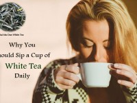 Why You Should Sip a Cup of White Tea Daily