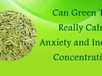 Can Green Tea Really Calm Anxiety & Increase Concentration