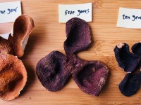 Chenpi (Aged Orange Peel)