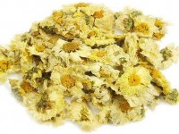 Chrysanthemum
