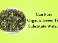 Can Pure, Organic Green Tea Substitute Water?
