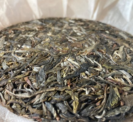 Huang Cao Ba Mao Er Duo Gong Cha 黄草坝猫耳朵贡茶