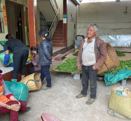 Ming Feng Shan 鸣凤山