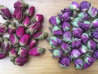 The Difference of Rose damas and Common Rose