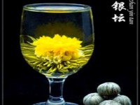 Blooming Tea Jin Zhan Yin Tan