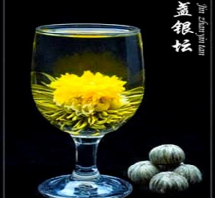 Blooming Tea Jin Zhan Yin Tan