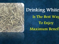 Drinking White Tea Is The Best Way To Enjoy Maximum Benefits