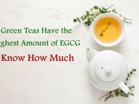 Green Teas Have the Highest Amount of EGCG – Know How Much