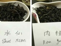 Why Shui Xian and Rou Gui is So Important to Understand Wuyi Rock Tea
