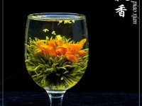 Blooming Tea Dan Gui Piao Xiang