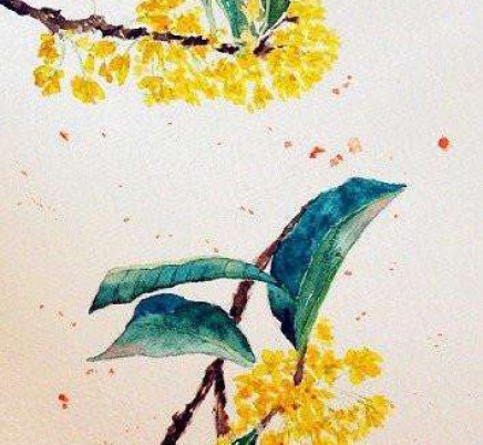 Blooming Tea Dan Gui Piao Xiang