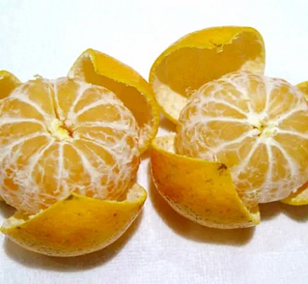 Chenpi (Aged Orange Peel)