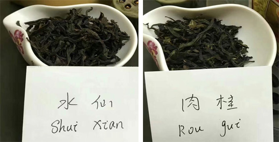 Why Shui Xian and Rou Gui is So Important to Understand Wuyi Rock Tea
