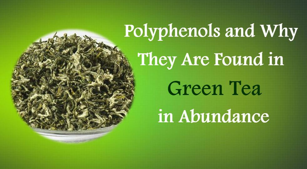 Changsha Wufeng Tea Co.,Ltd