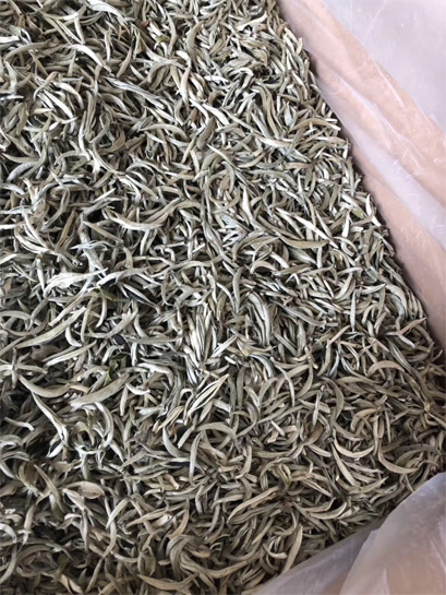 2019 crop Yunnan Silver Needle 