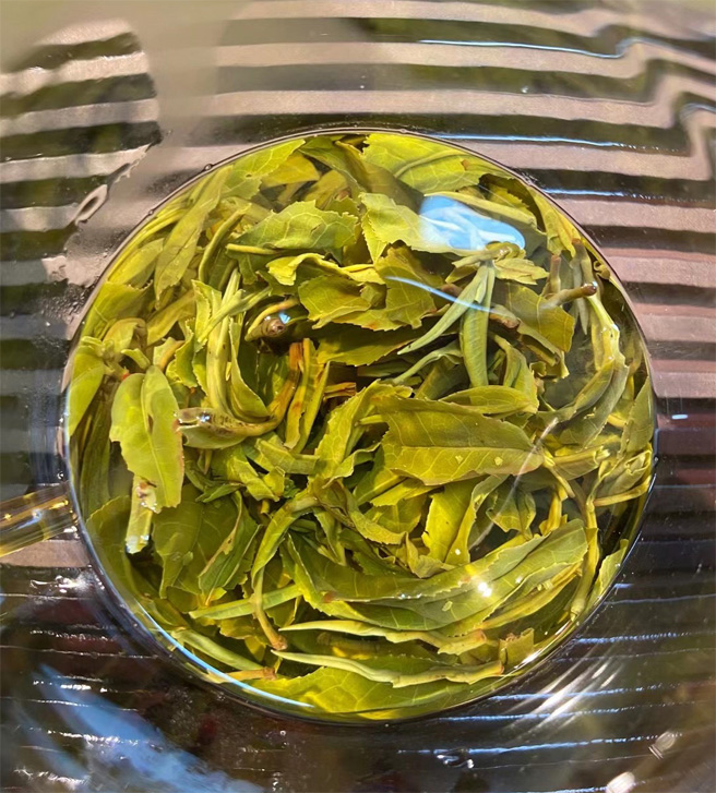 Organic Yunnan Green Tea 2