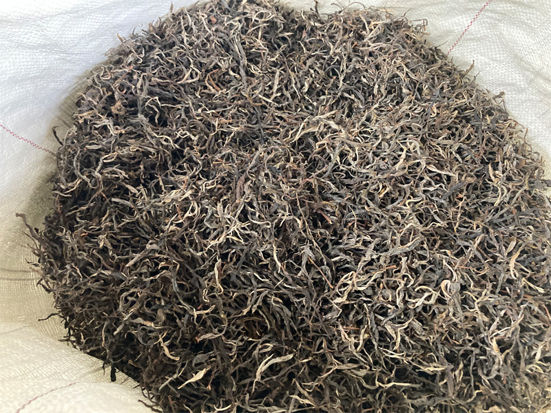 The Manufactuering of Real Old Tree Shu Pu-erh 32