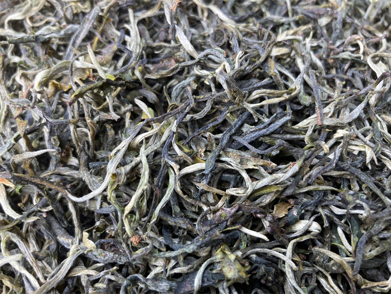 2023 Organic Yunnan Teas 23
