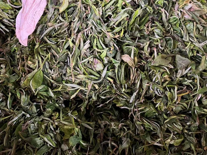 Old Tree Yunnan Black Tea 25