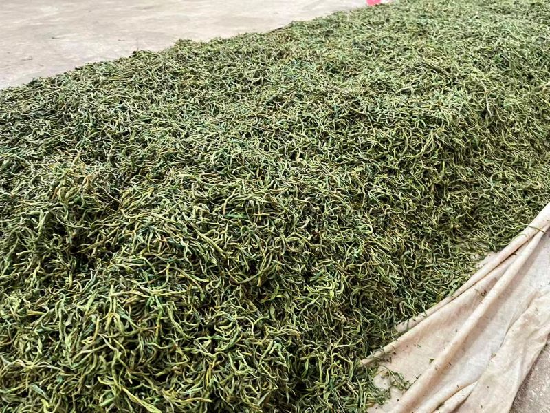 Old Tree Yunnan Black Tea 30